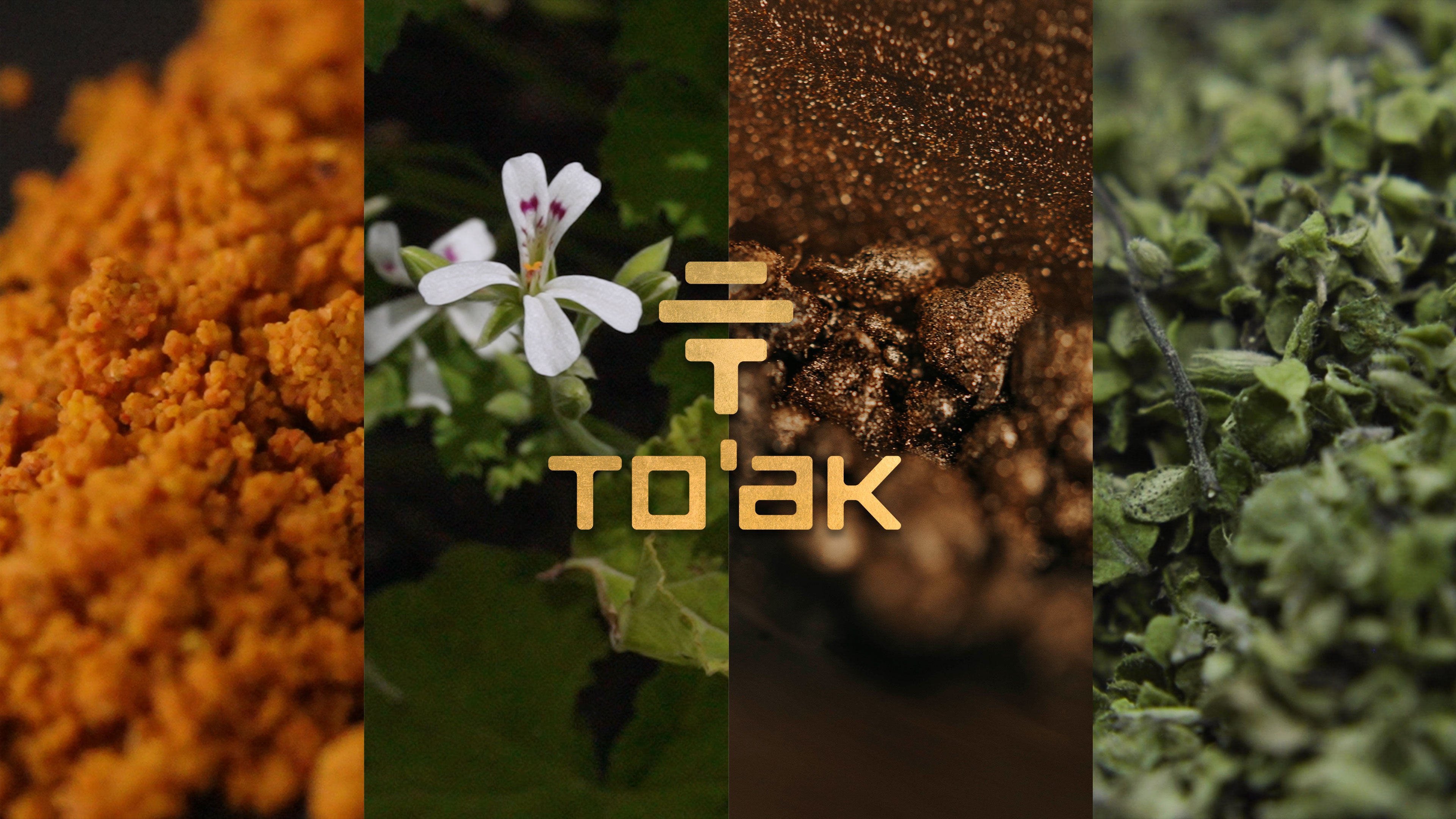 To'ak's Dark Chocolate Inclusion Bars—Introducing the Alchemy Collection