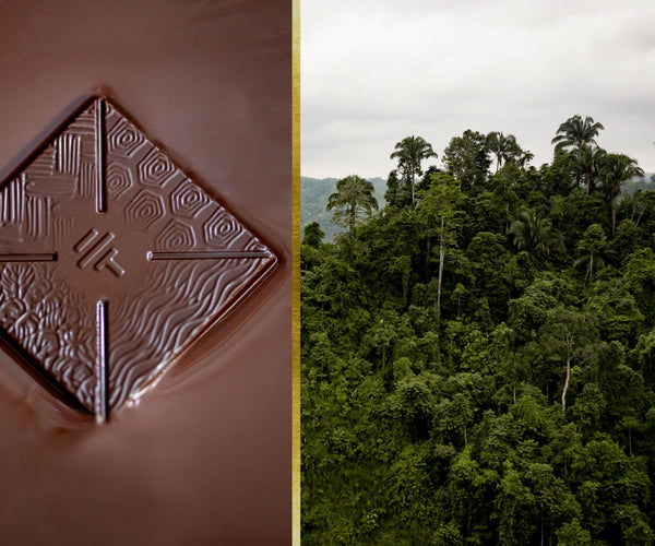 How To'ak Is Pioneering Sustainable Chocolate – To'ak Chocolate
