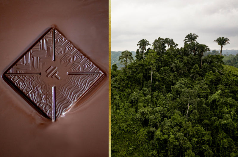 How To'ak Is Pioneering Sustainable Chocolate