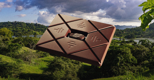 The Future of Chocolate: 9 Ways To'ak is Revolutionizing the Chocolate Industry