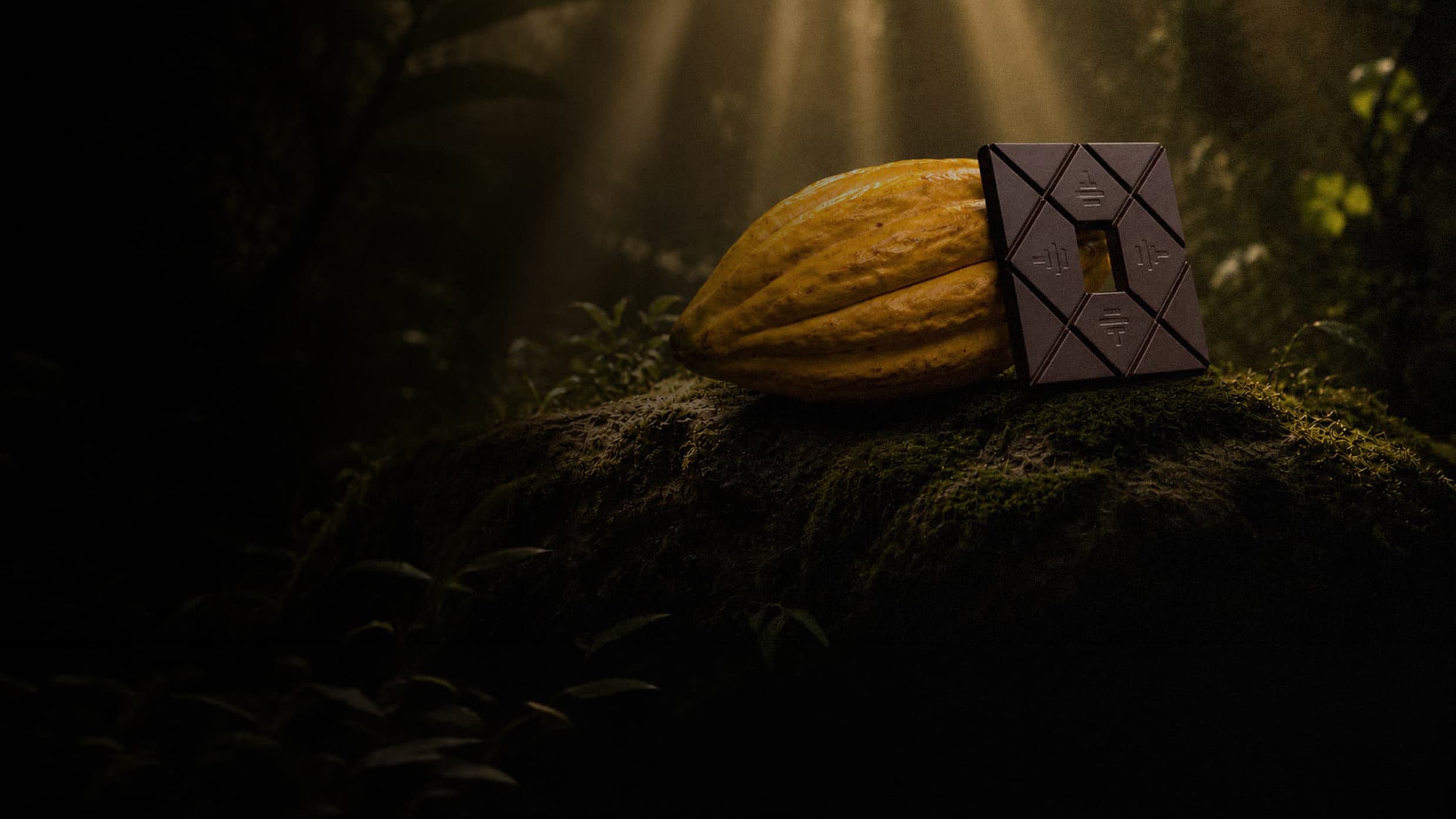 What Is Grand Cru Cacao & How To’ak Classifies Chocolate