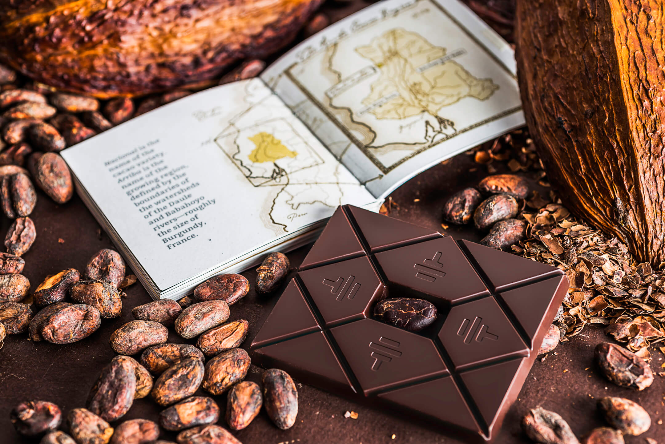 Chocolate 101: a bar of To'ak Chocolate alongside an open booklet, 2 cacao pods, and cacao beans
