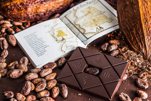 Chocolate 101: a bar of To'ak Chocolate alongside an open booklet, 2 cacao pods, and cacao beans