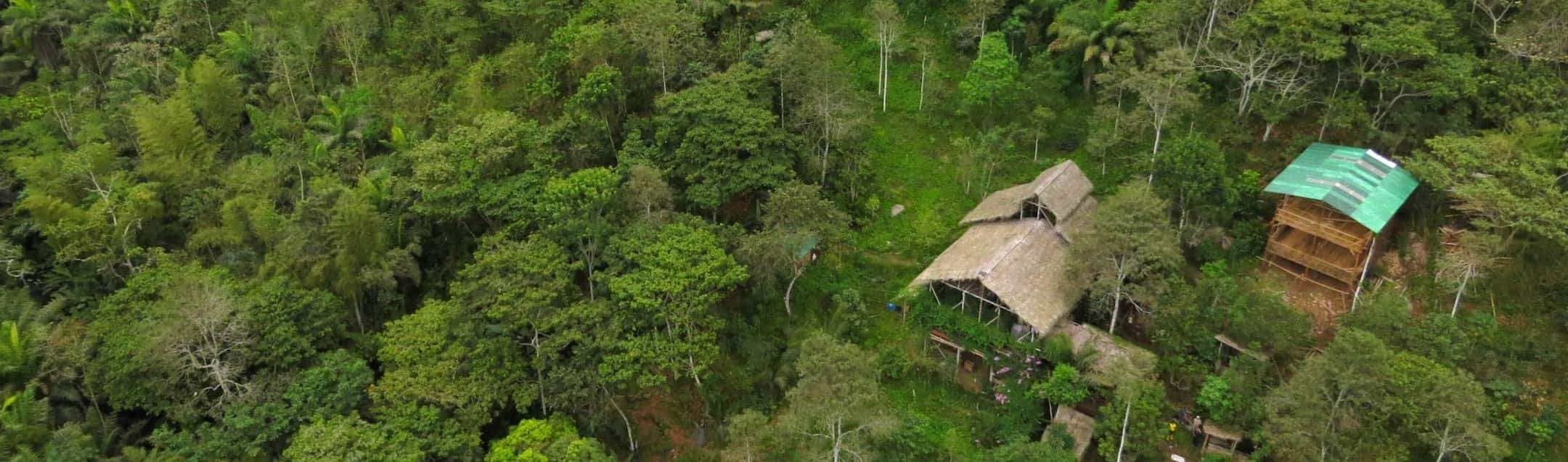 Jerry's Backwoods Cacao Brew Recipe | To'ak Chocolate