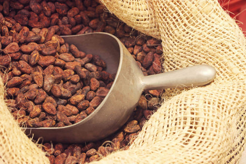 6 Reasons Why Cacao Powder is So Healthy | To'ak Chocolate