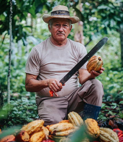 Caramelized Pop Amaranth - Alchemy Mini