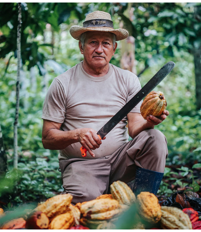 Caramelized Pop Amaranth - Alchemy Mini