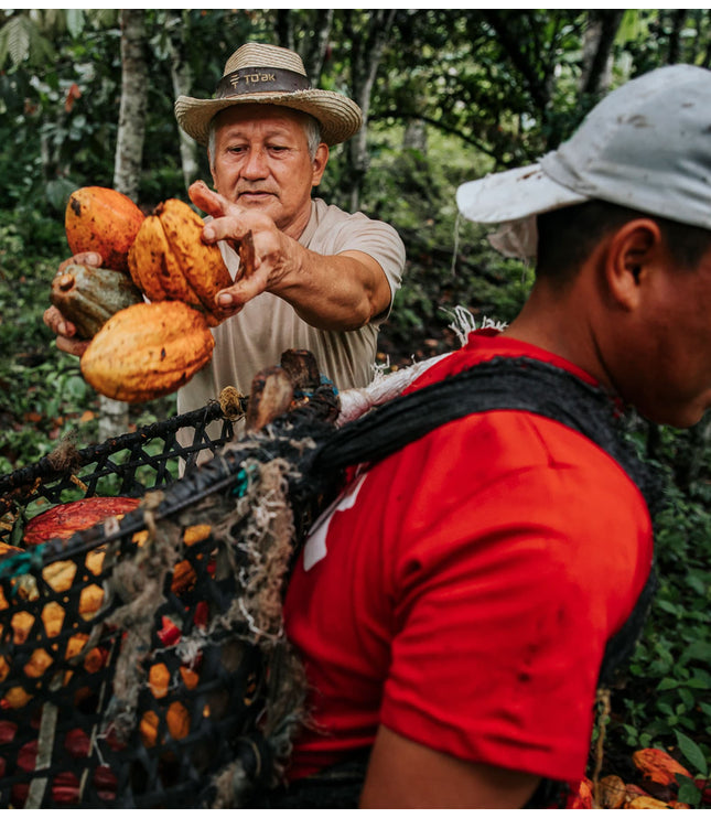 Golden Peanuts - Alchemy Mini