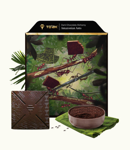 Amazonian Ants - Alchemy Grande