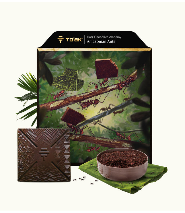 Amazonian Ants - Alchemy Grande