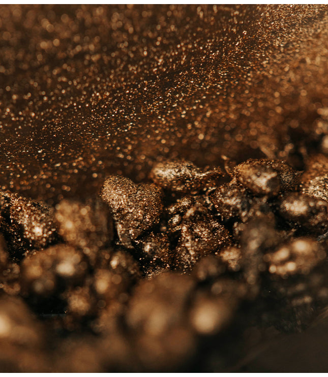 Amazonian Ants - Alchemy Mini