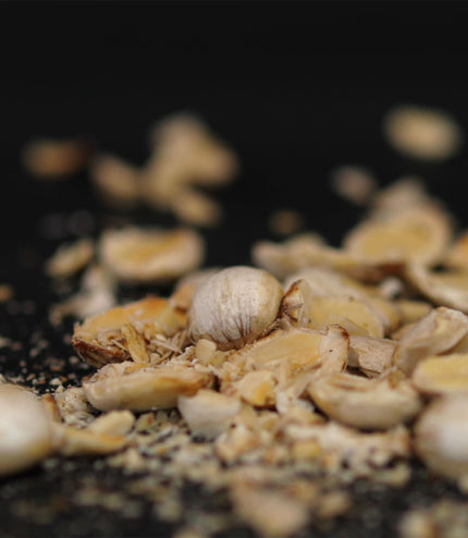 Rainforest Nuts - Alchemy Mini