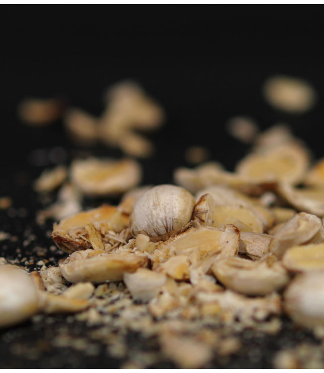 Rainforest Nuts - Alchemy Mini