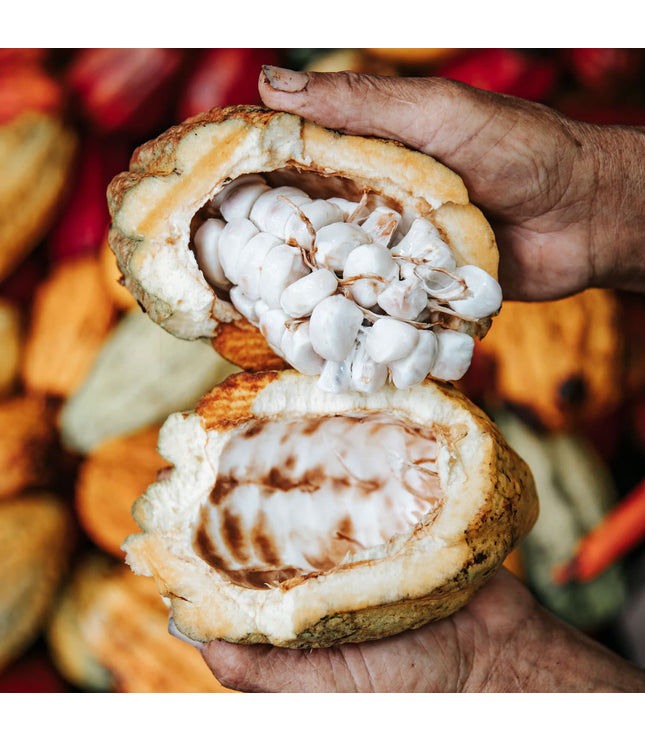 2022 Rain Harvest (73.5%) - Signature