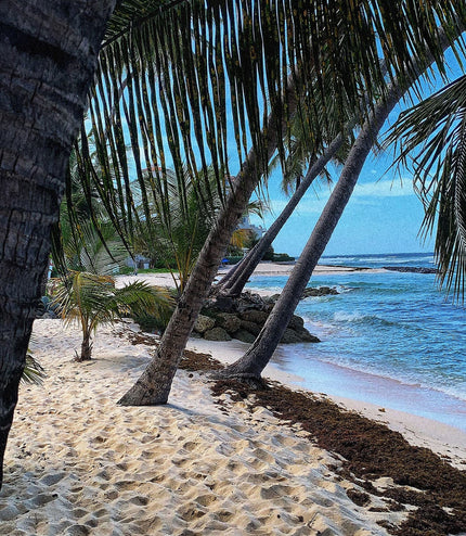 Barbados Rum Cask Aged