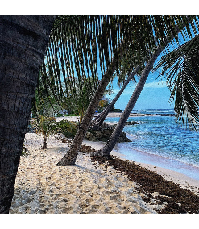 Barbados Rum Cask Aged