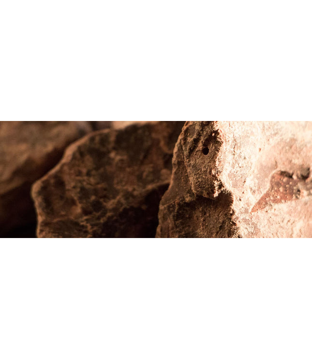 Father’s Day Gift: The Signature Bundle