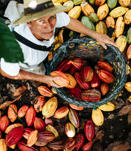 100% Full Spectrum Cacao Powder