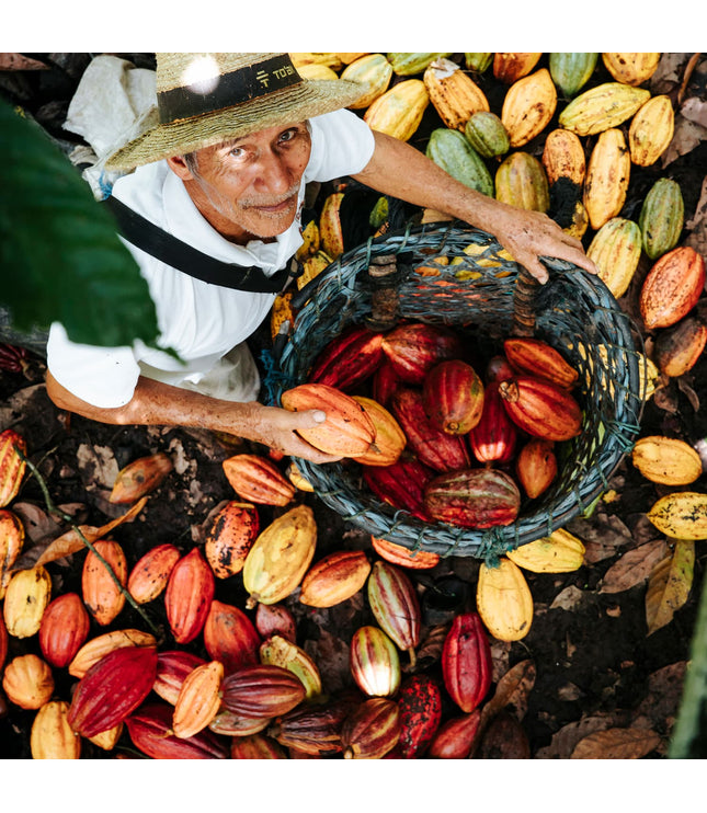 100% Full Spectrum Cacao Powder