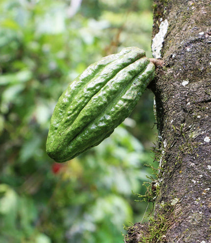 Islay Whisky Cask Aged