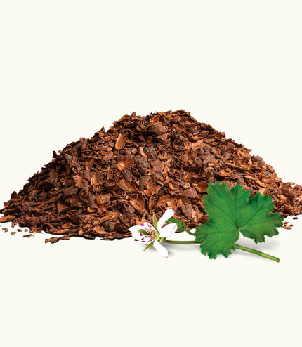 Cacao Husk & Malva Flower Tea