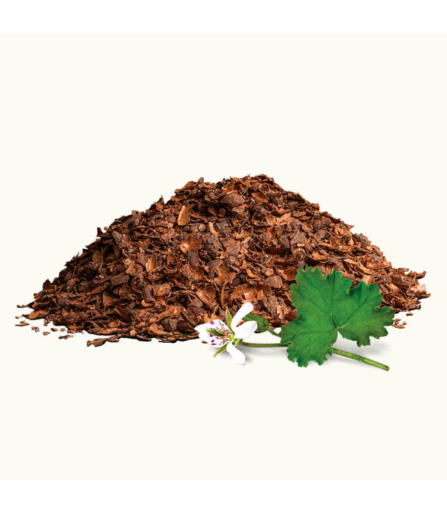 Cacao Husk & Malva Flower Tea