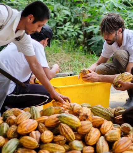 2022 Rain Harvest (100%) - Signature