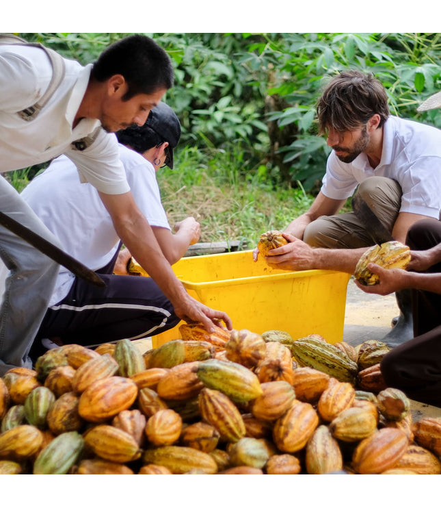 2022 Rain Harvest (100%) - Signature