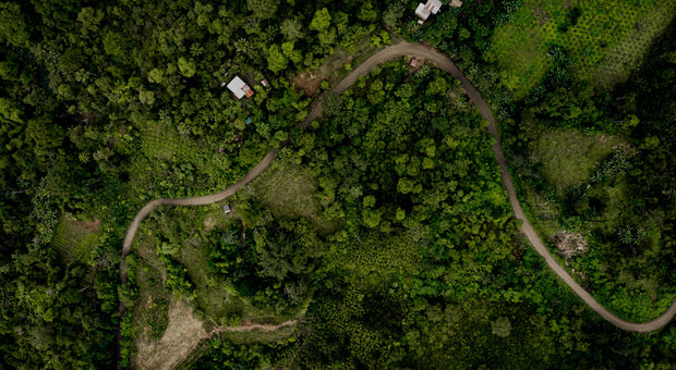 Our rare Ecuadorian Nacional cacao traces its genetic lineage back at least 5,300 years. Until recently, this revered variety was believed to be extinct.
