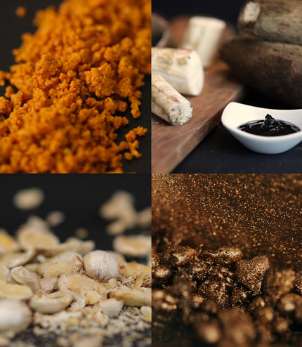 Alchemy Mini 8-Pack Bundle