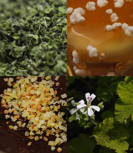 Alchemy Mini 8-Pack Bundle