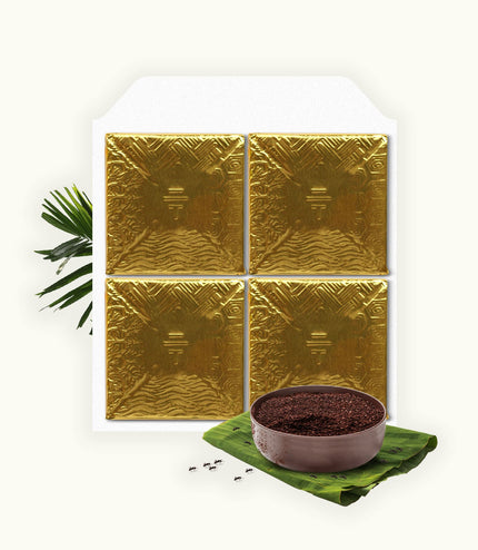 Amazonian Ants - Alchemy Grande