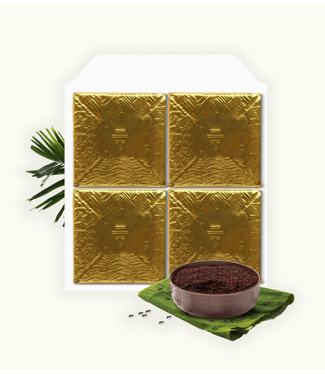 Amazonian Ants - Alchemy Grande