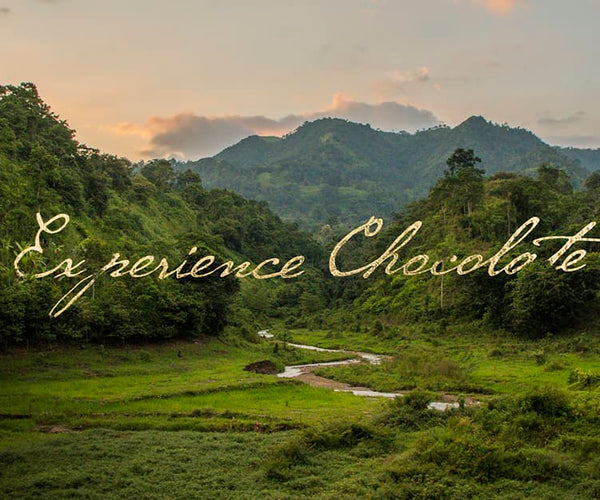 To'ak Chocolate | The World's Finest Dark Chocolate from Ecuador