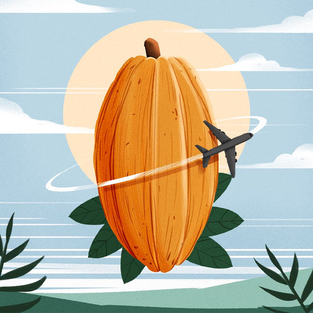 Fast Worldwide Shipping