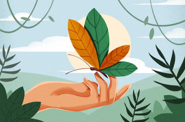 Regenerative Cacao That Supports Conservation