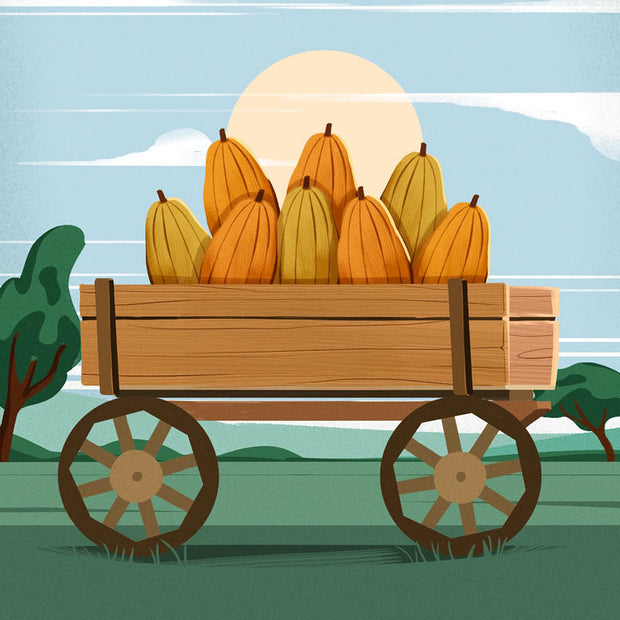 Farmers Paid the True Cost of Food