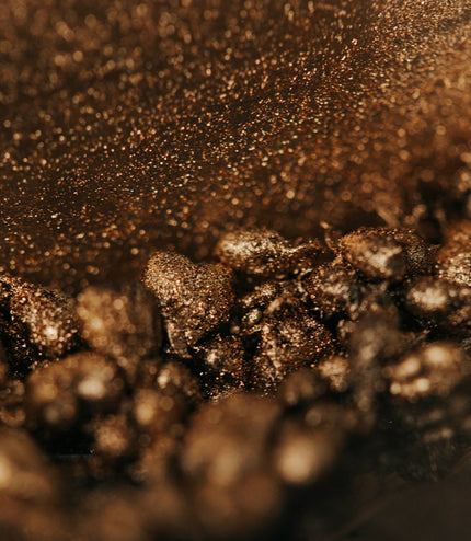 Amazonian Ants - Alchemy Grande