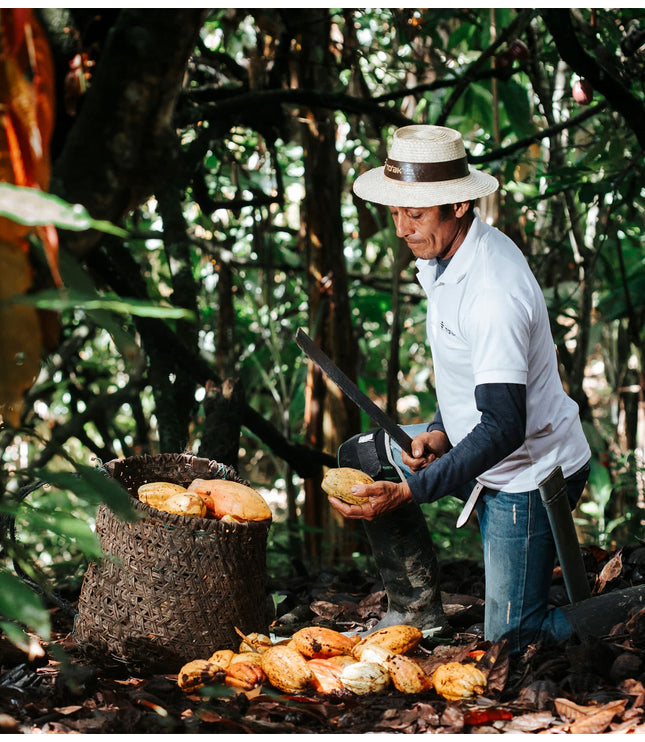 Spicy Tucupí - Alchemy Grande