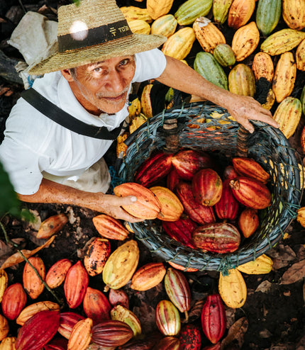 Galápagos Orange & Salt - Alchemy Grande