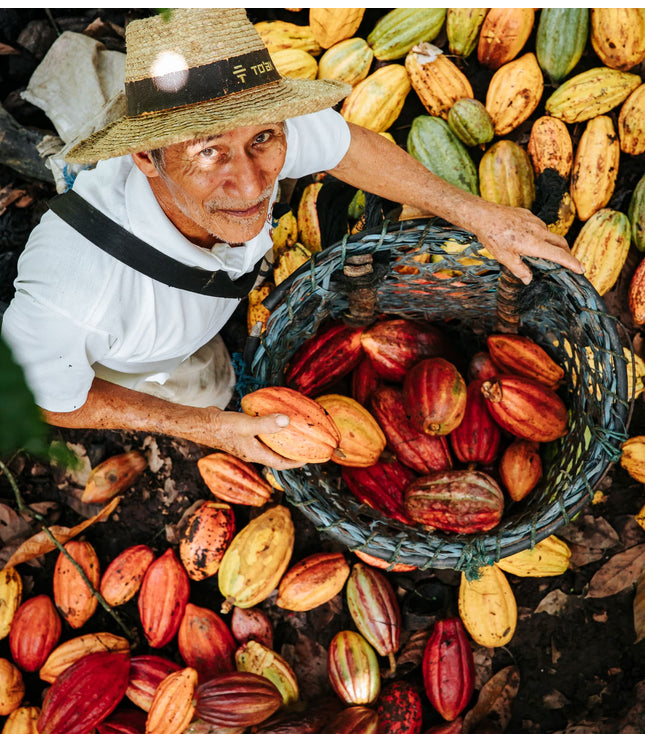 Galápagos Orange & Salt - Alchemy Grande