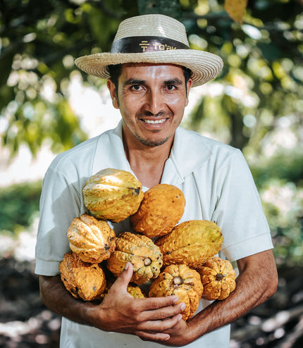 Rainforest Nuts - Alchemy Grande