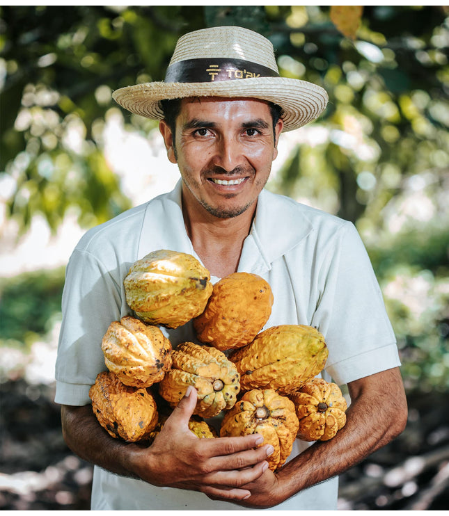 Rainforest Nuts - Alchemy Grande