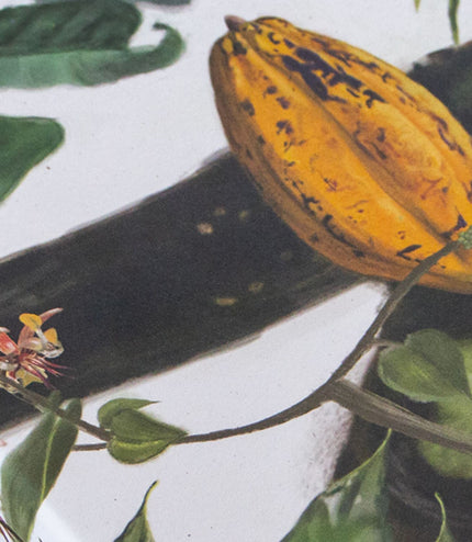 Gift Wrapping Service