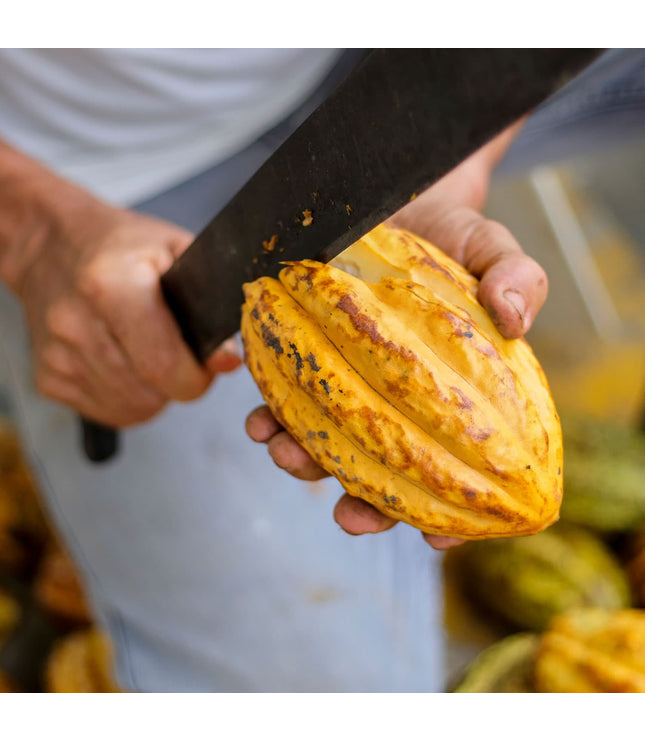 18 Mini Bars (100% Cacao)