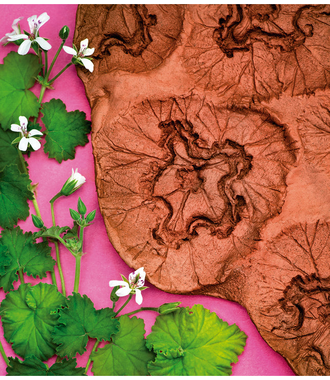 Fine Art Print - Malva Flowers