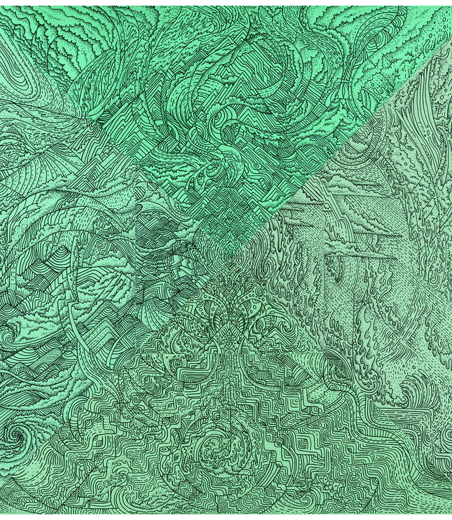 Fine Art Print - Andean Mints