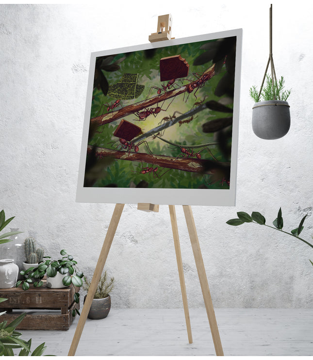 Fine Art Print - Amazonian Ants
