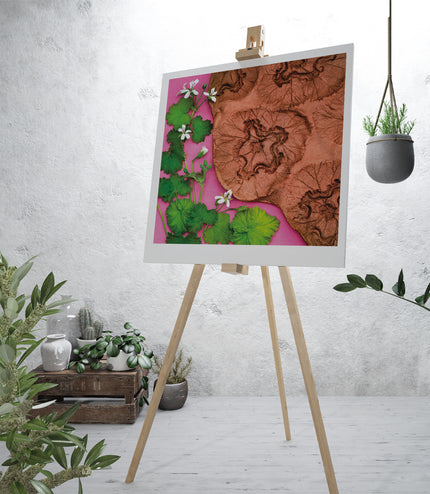 Fine Art Print - Malva Flowers