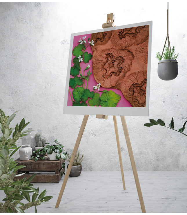 Fine Art Print - Malva Flowers